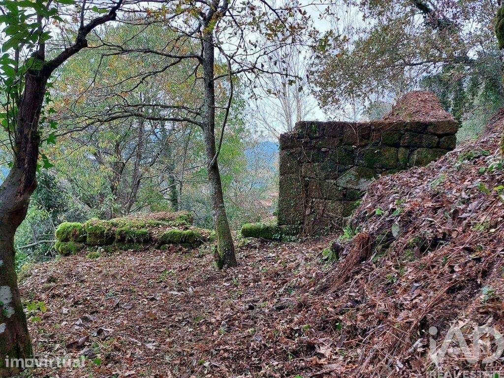 Terreno misto em São Cristóvão de Nogueira - Grande imagem: 2/16