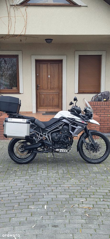 Triumph Tiger - 2
