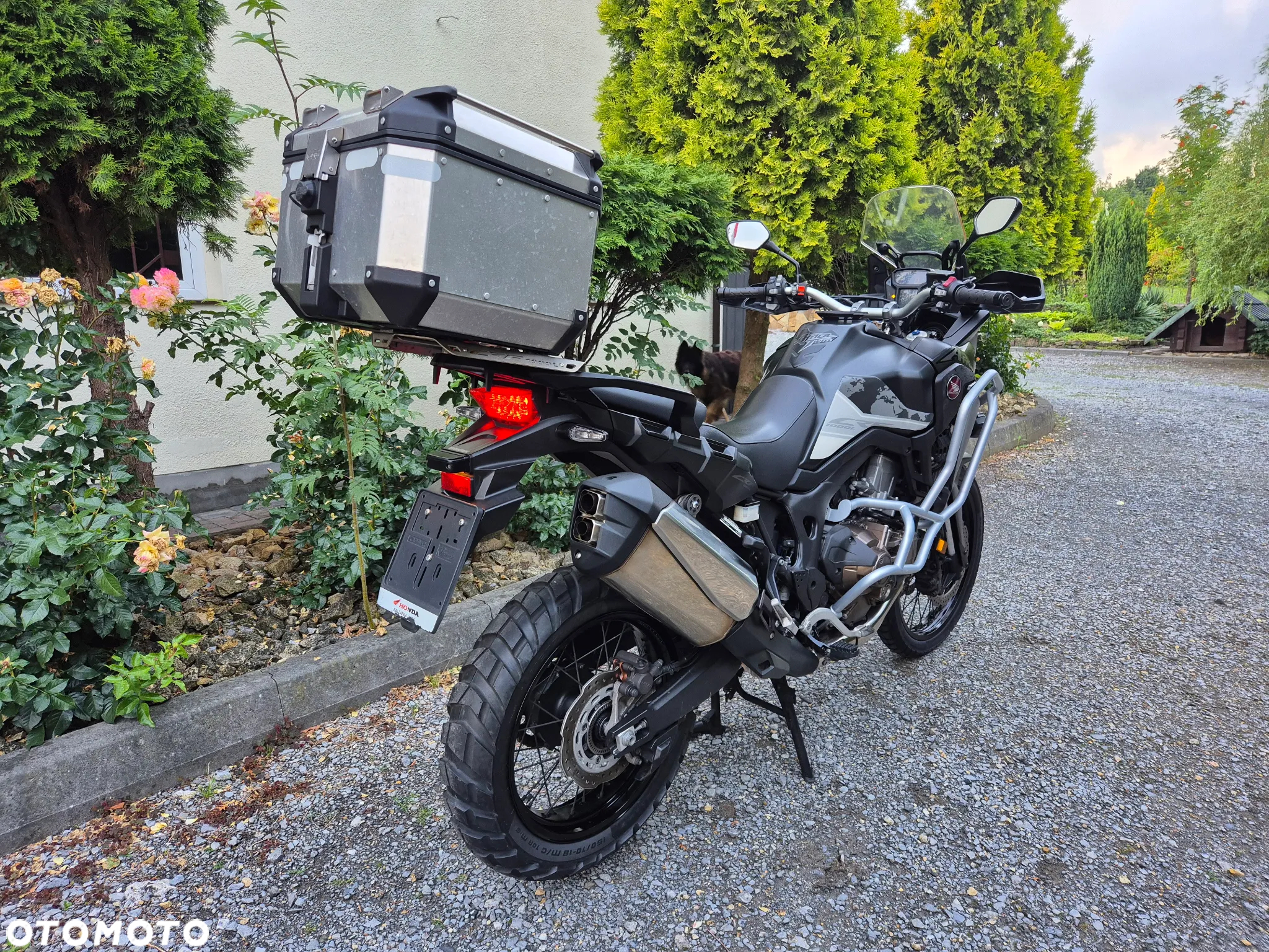 Honda CRF - 3