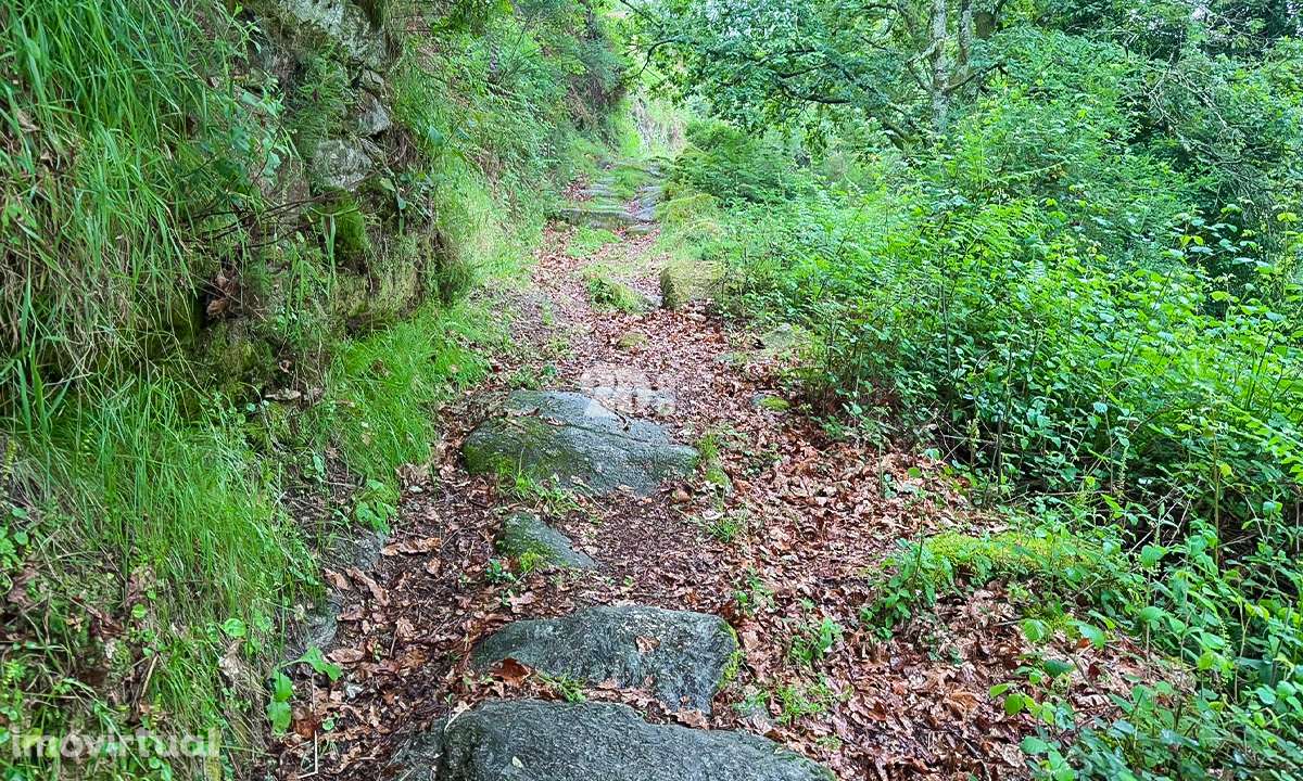 Terreno 4.250m² - Grade - Grande imagem: 5/7