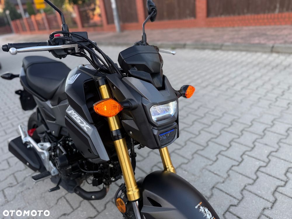 Honda MSX 125 - 6