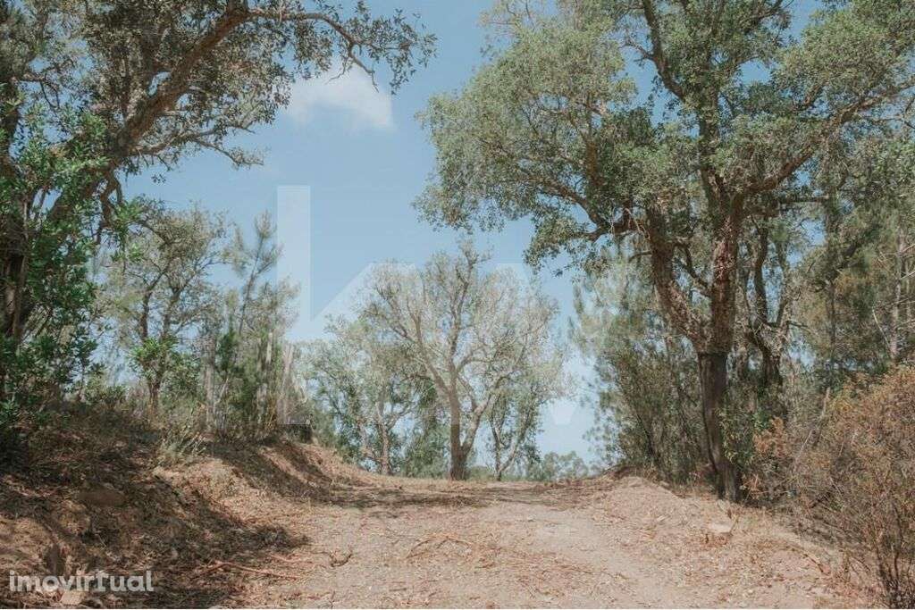 Oportunidade Única: Propriedade excepcional na Estrada da Boavista, Me - Grande imagem: 4/54