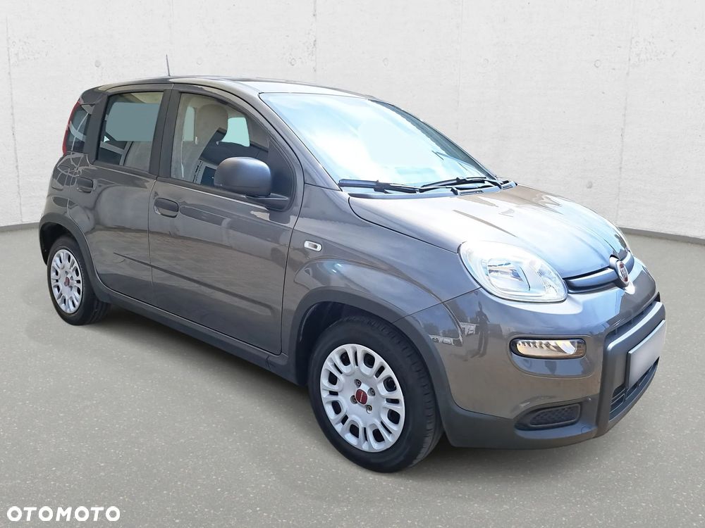 Fiat Panda - 4
