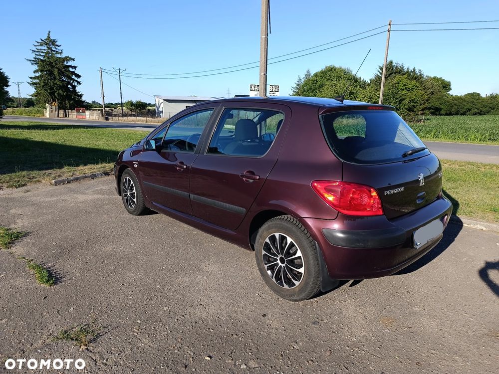 Peugeot 307 1.6 Trendy - 2
