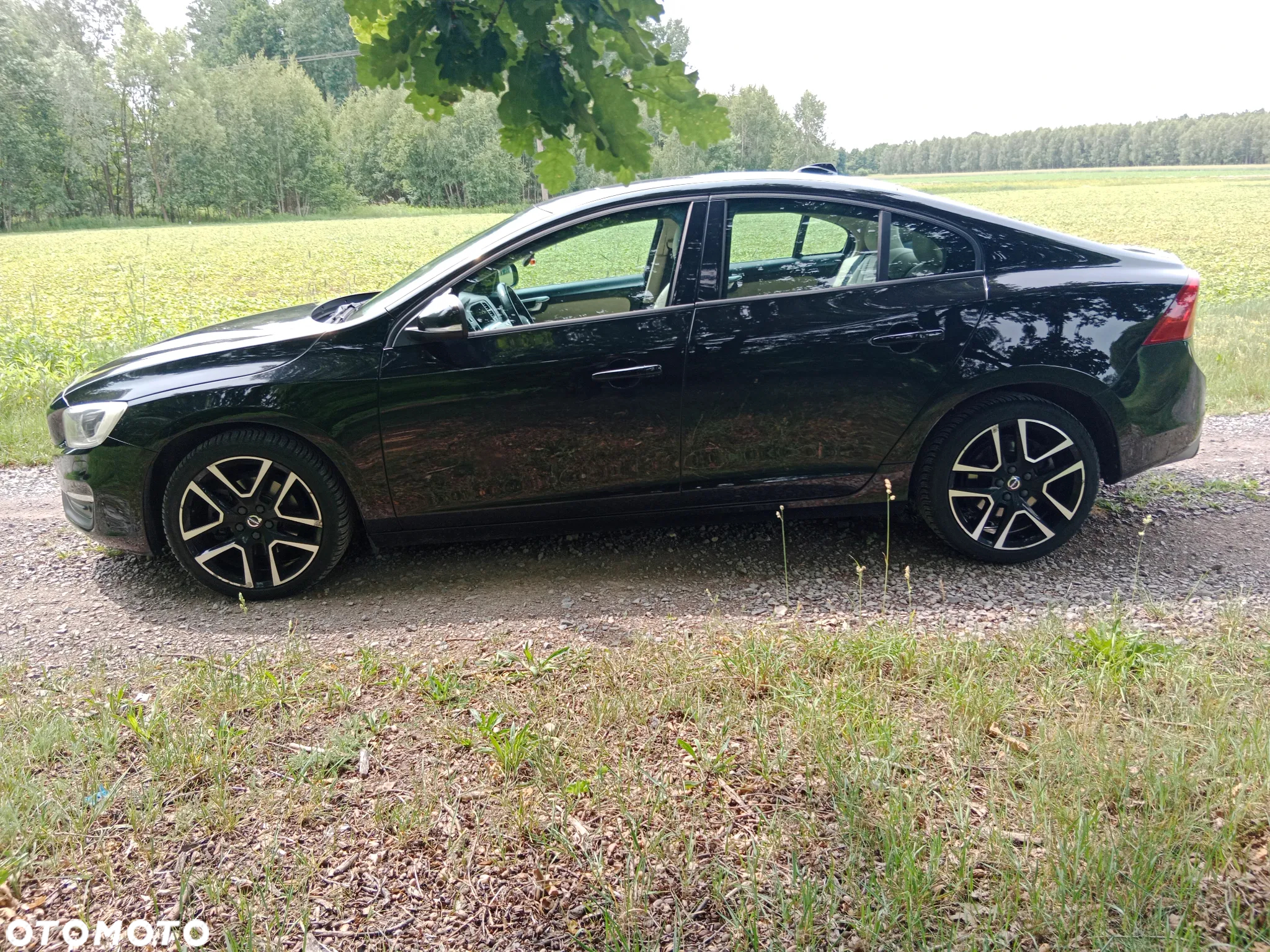 Volvo S60 T5 Drive-E Dynamic Edition (Kinetic) - 7