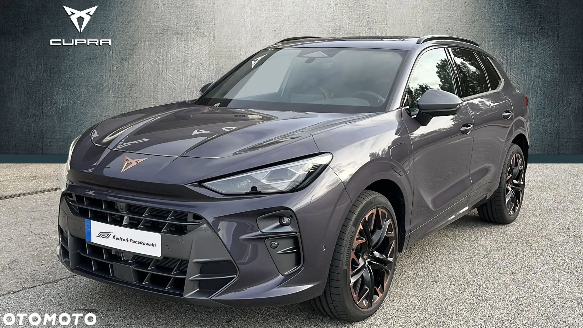 Cupra Terramar - 1