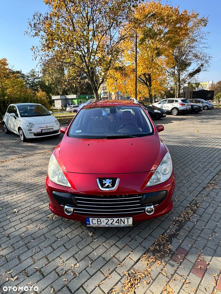 Peugeot 307 - 6