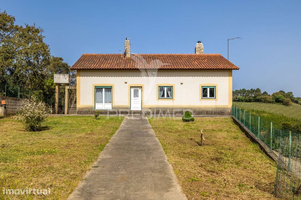 Quinta em Alcobaça para comprar. - Grande imagem: 2/39