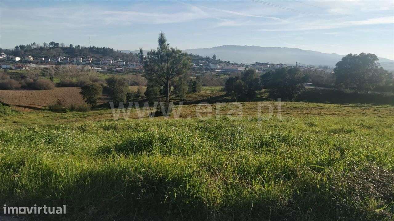 Terreno Rústico / Covilhã, Dominguiso - Grande imagem: 2/6