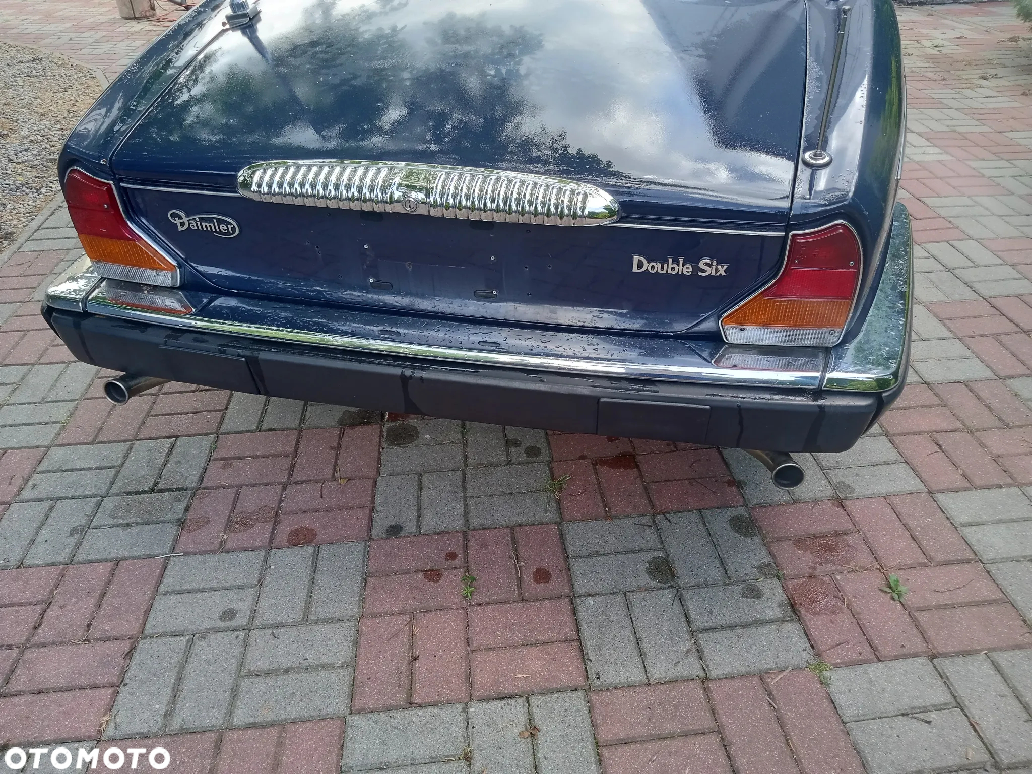 Jaguar Daimler Double Six 5.3i - 4