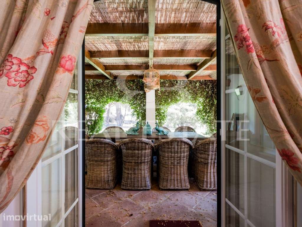 Casa T5 com anexo, em lote de 2 hectares - Jardim, Piscina, Pinhal ... - Grande imagem: 2/60