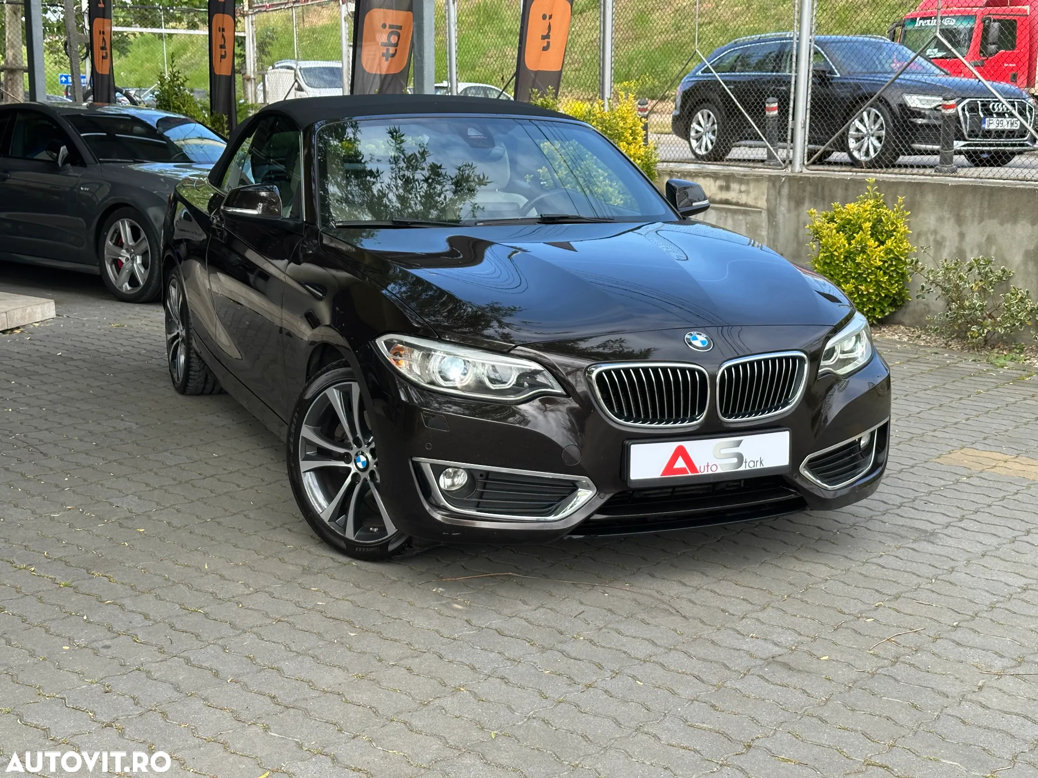 BMW Seria 2 220d Cabrio Aut. Luxury Line - 11