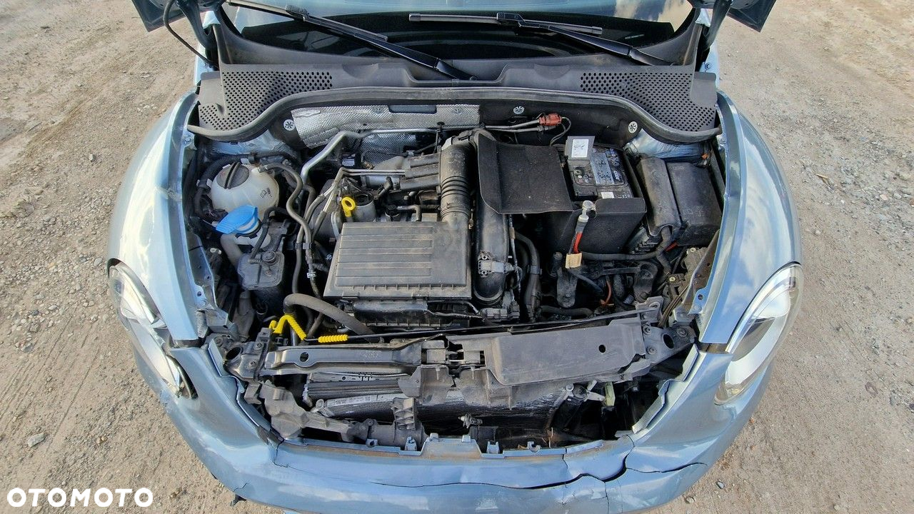 Volkswagen Beetle - 20