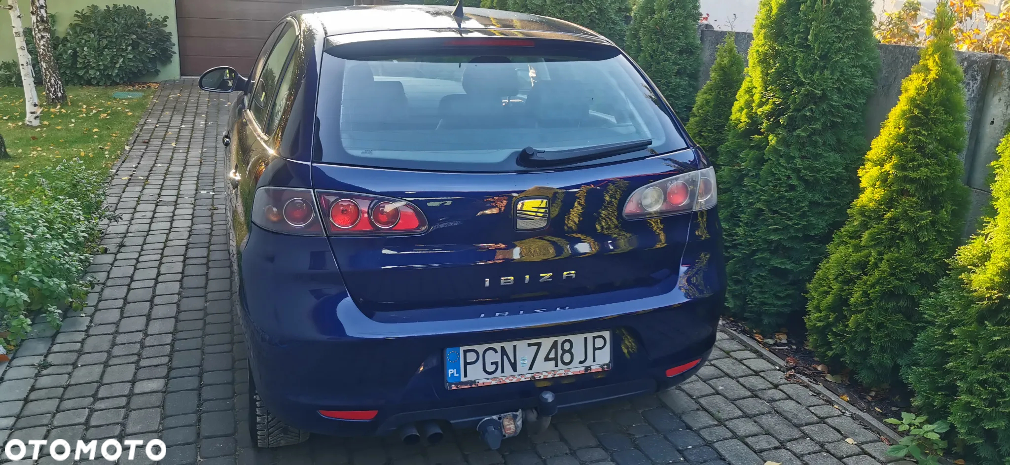 Seat Ibiza - 3