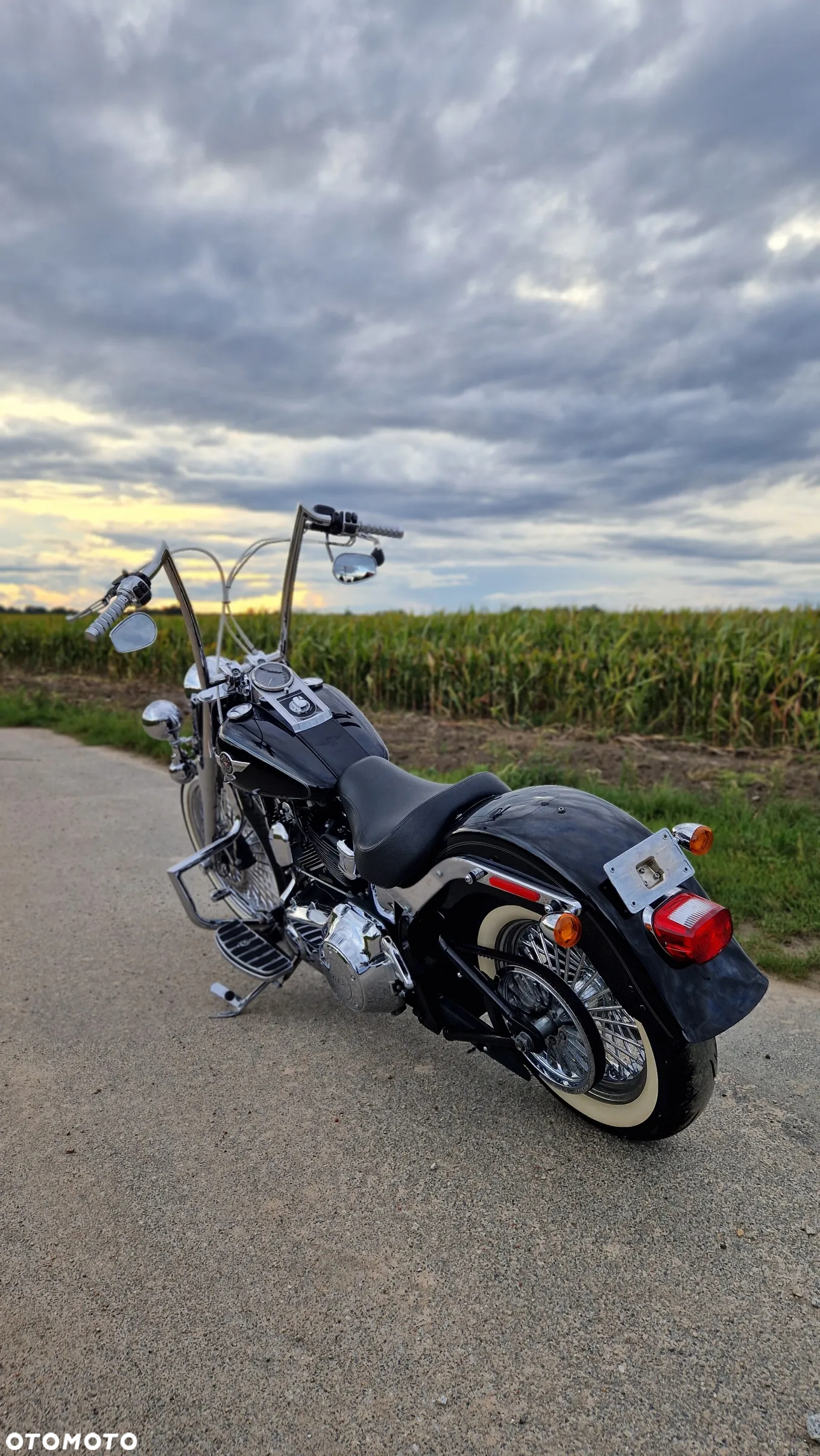 Harley-Davidson Softail Fat Boy - 10