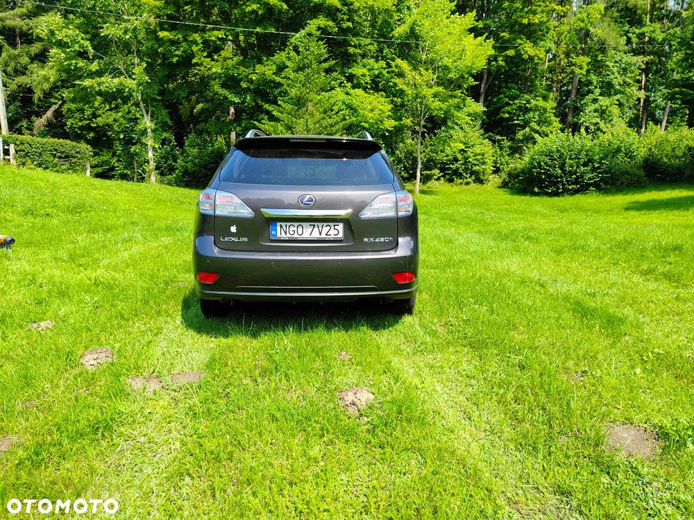Lexus RX - 6