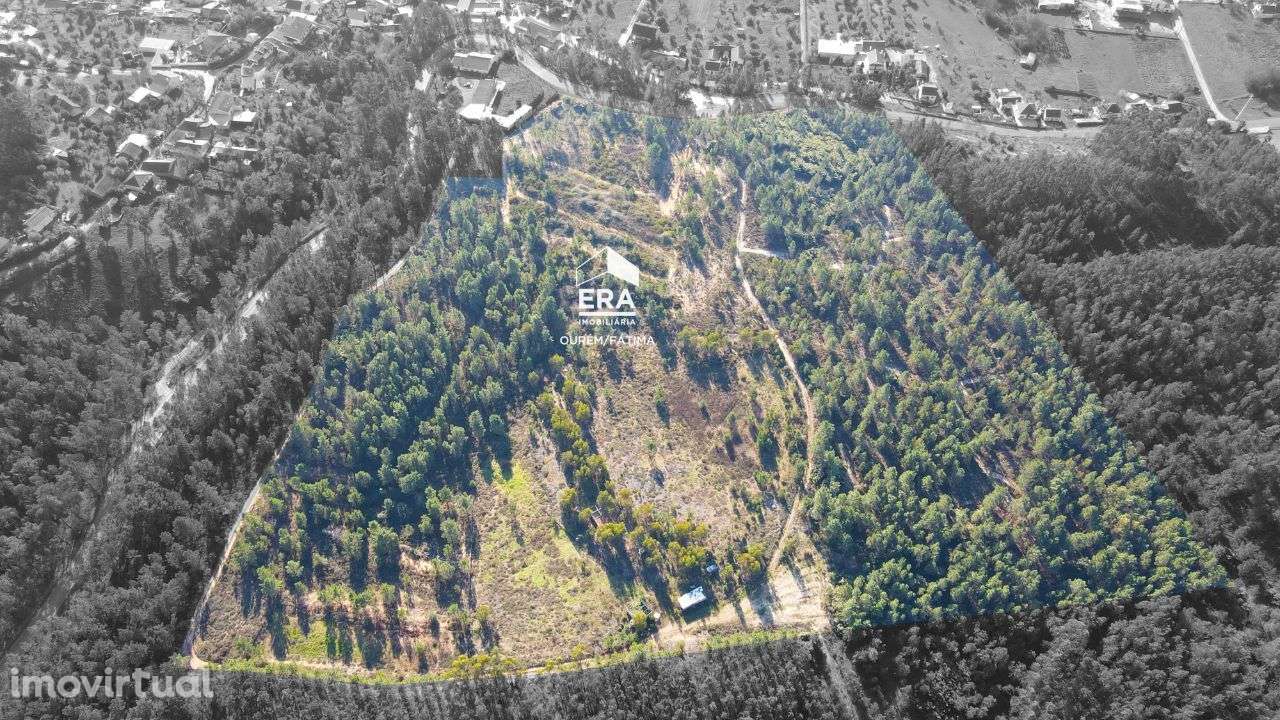 Terreno localizado em Sabacheira! - Grande imagem: 2/17