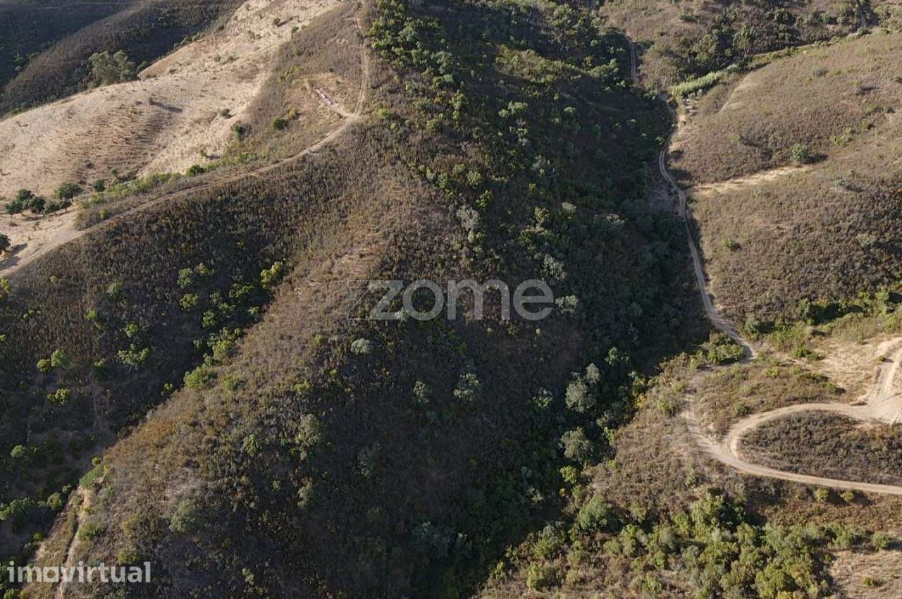 Terreno em S.B.Messines, Foz do Ribeiro com 45.680m2, c/ poço de ág... - Grande imagem: 2/20