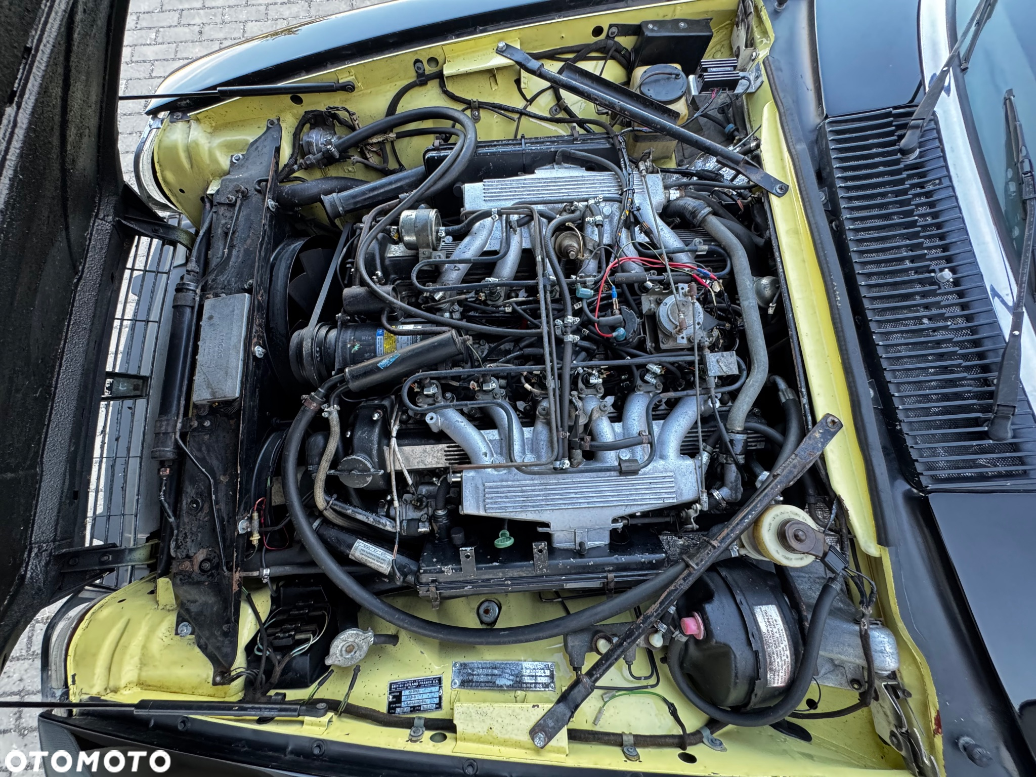 Jaguar XJS - 31