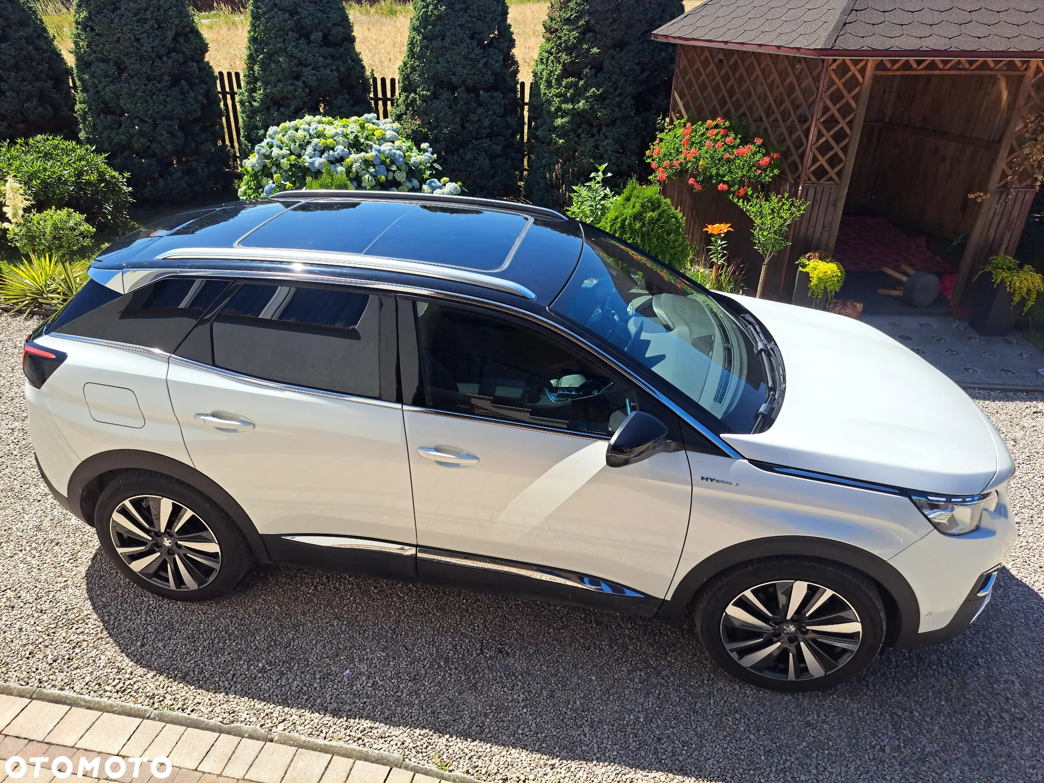 Peugeot 3008 Plug-In Hybrid4 300 e-EAT8 GT - 8
