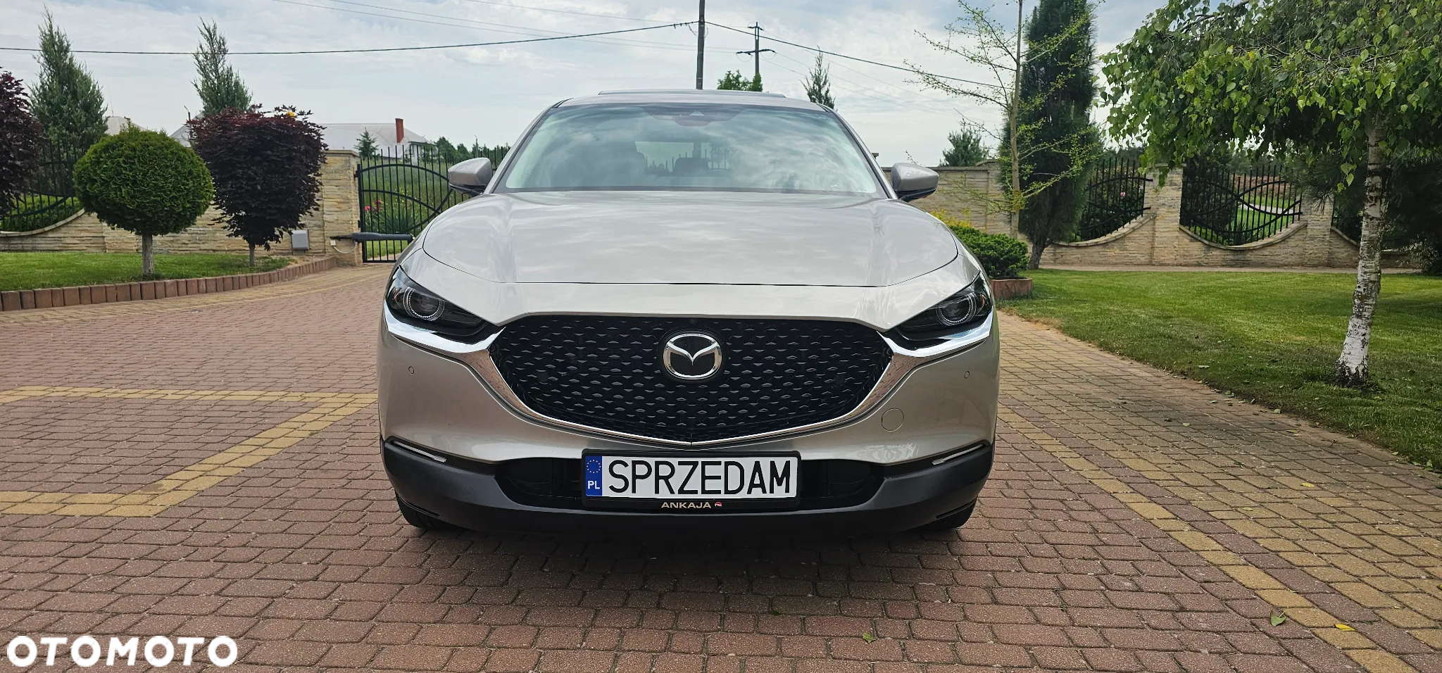 Mazda CX-30 ver-e--skyactive-x-186-skyactiv--drive-exclusive--line - 25