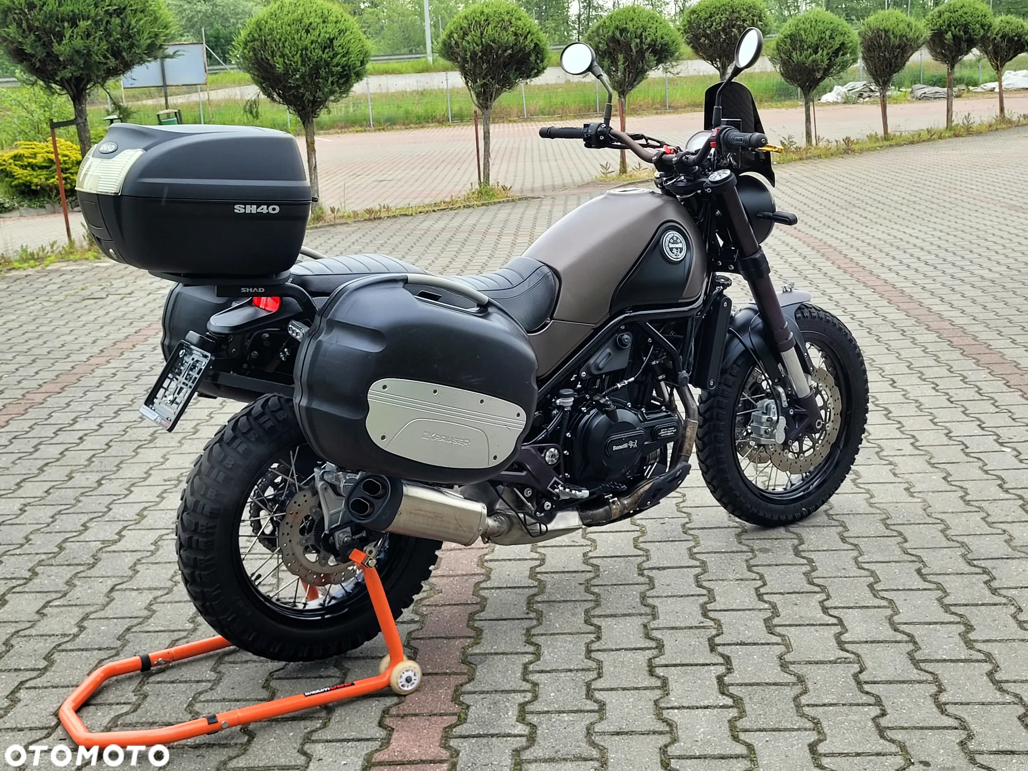 Benelli Leoncino - 9