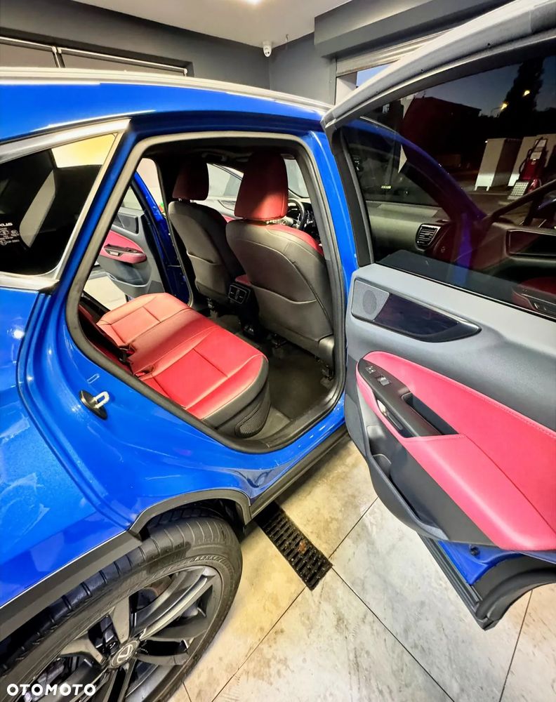 Lexus NX - 15