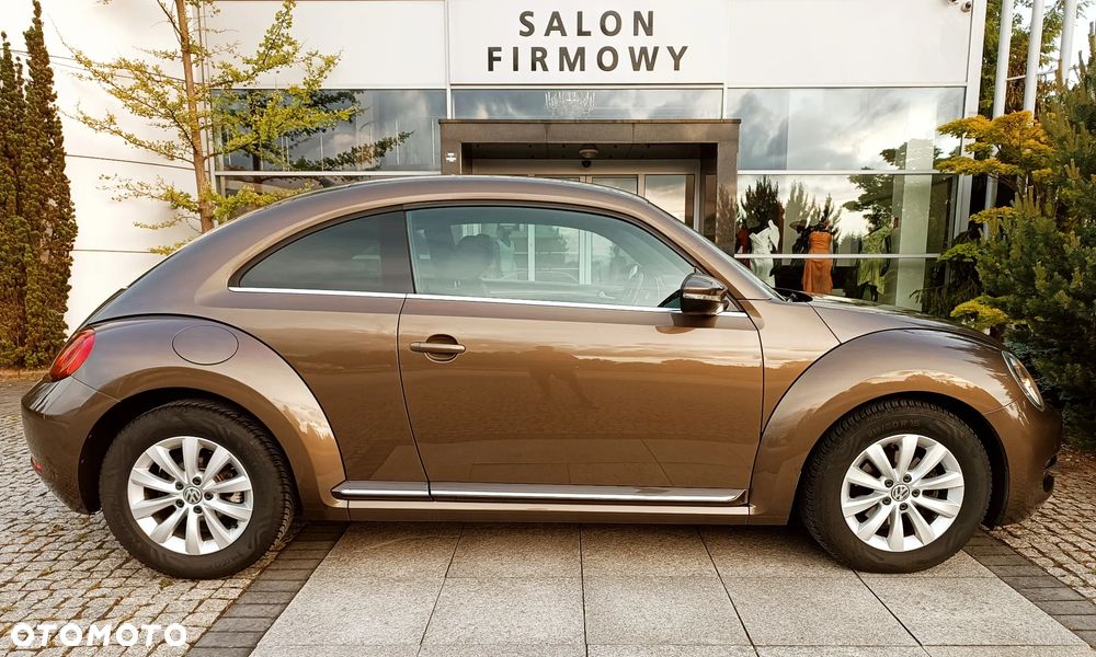 Volkswagen Beetle - 10