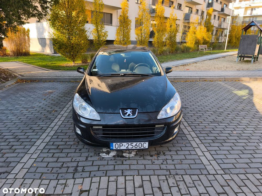 Peugeot 407 - 8