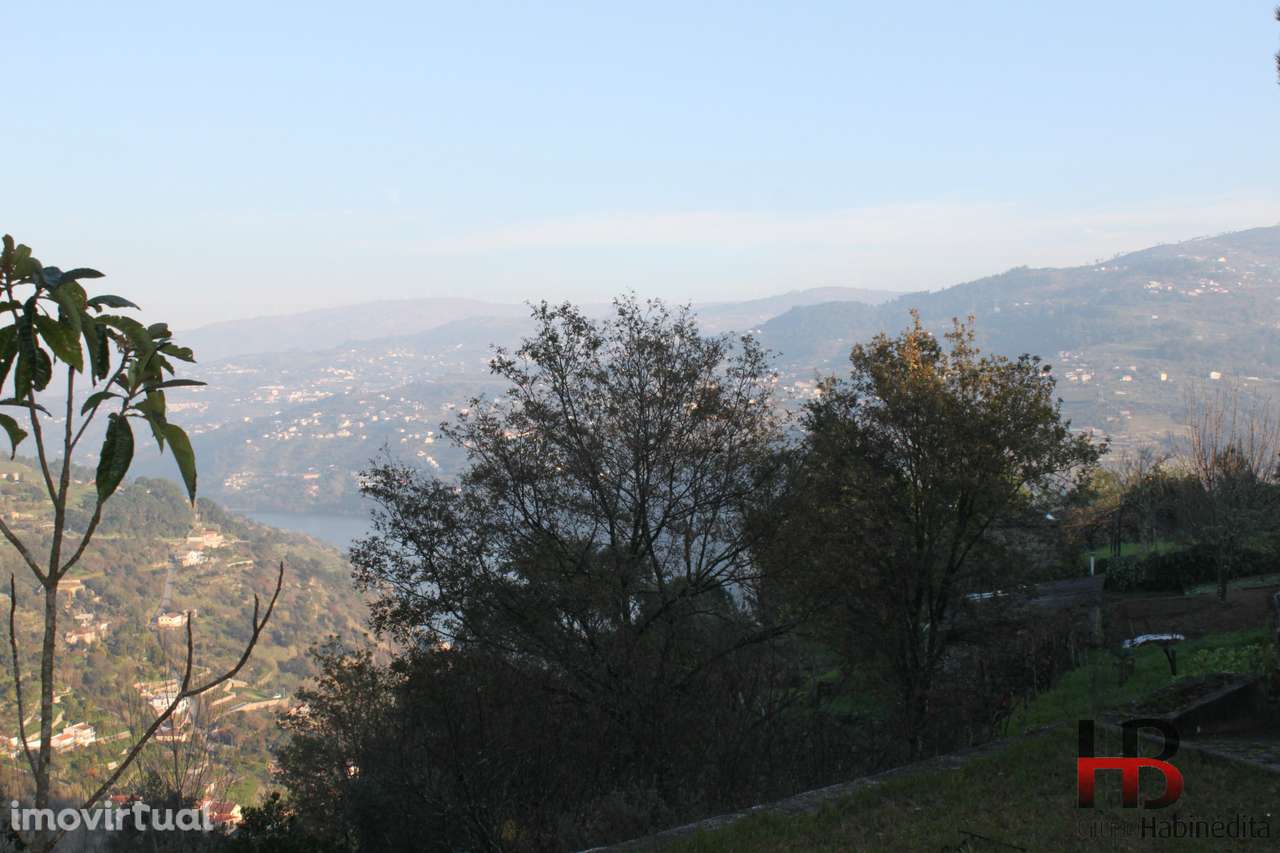 Quintinha no Douro, Baião. - Grande imagem: 3/20