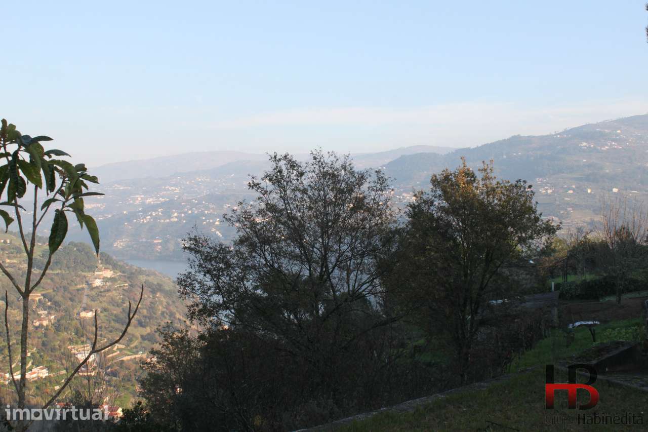 Quintinha no Douro, Baião. - Grande imagem: 3/20