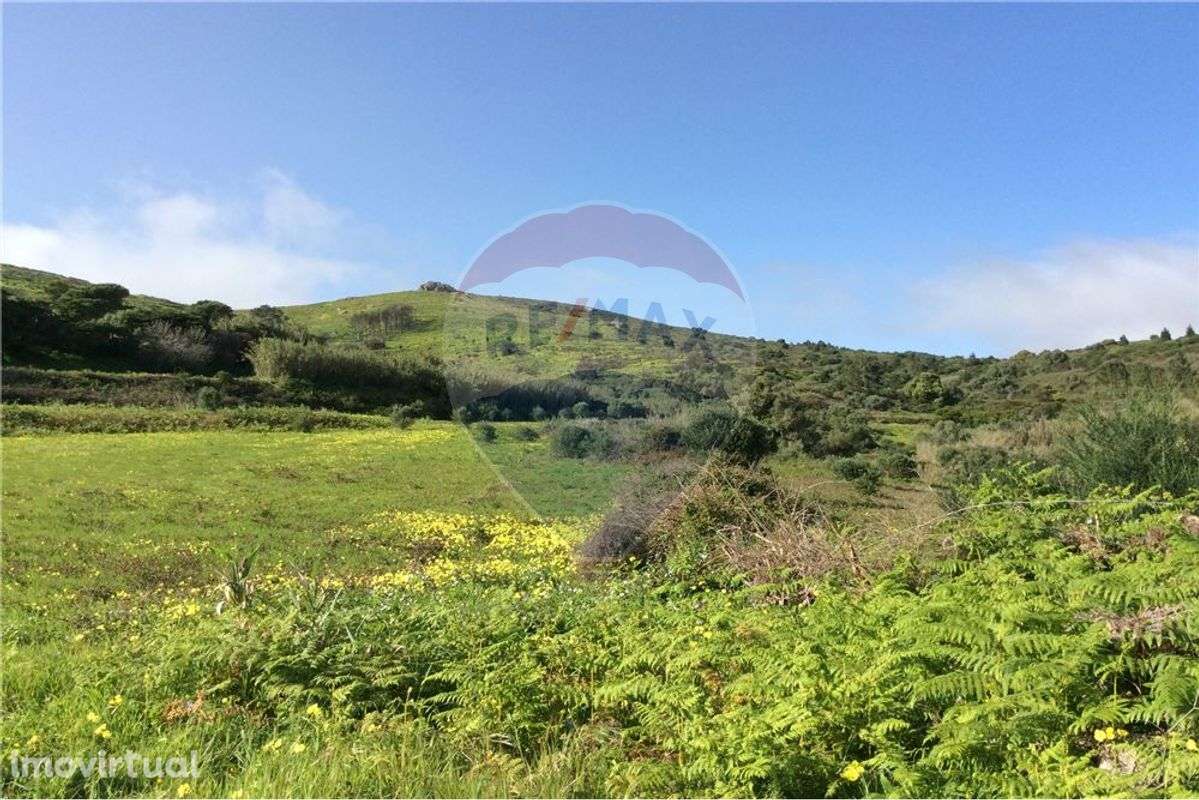 Terreno  para venda - Grande imagem: 3/5