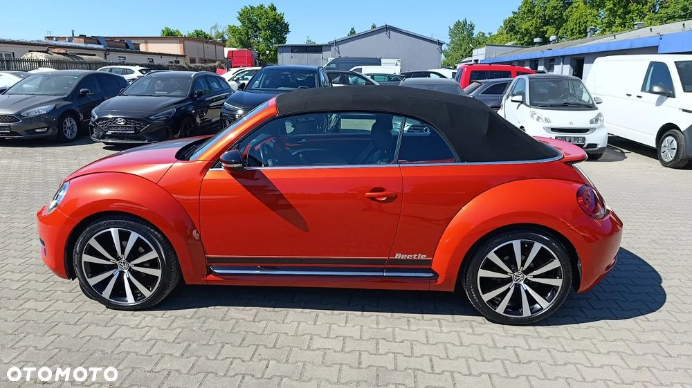 Volkswagen Beetle - 8