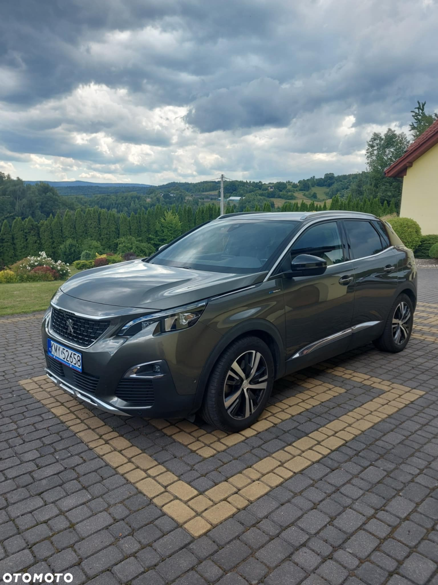 Peugeot 3008 - 13