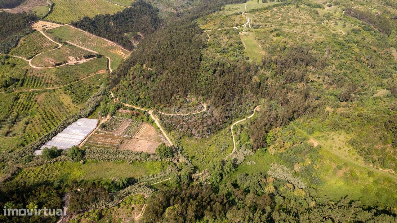 Terreno Rústico com mais de 1.5 Hectares em Mafra – Vista Linda e Pert - Grande imagem: 4/9