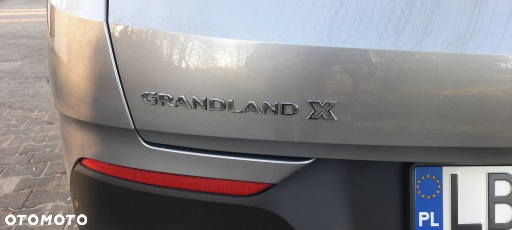 Opel Grandland X - 11