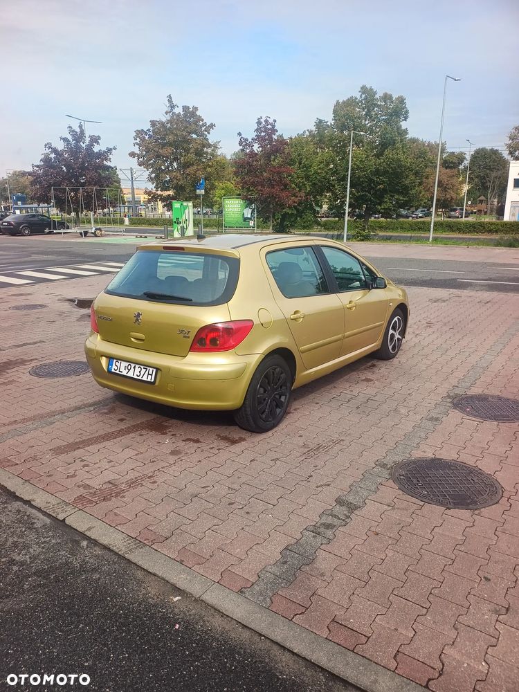 Peugeot 307 - 4