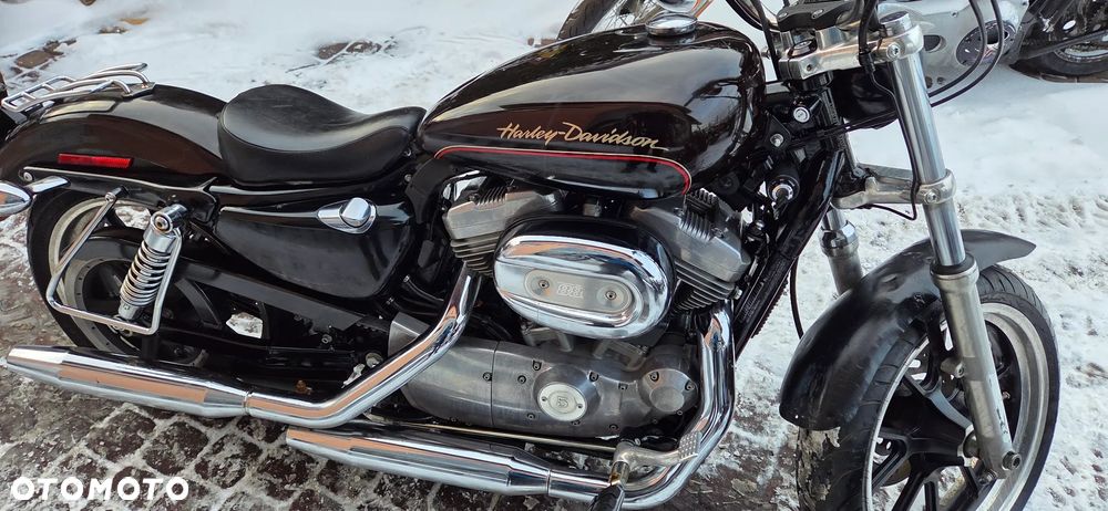 Harley-Davidson Sportster Custom 883C - 2