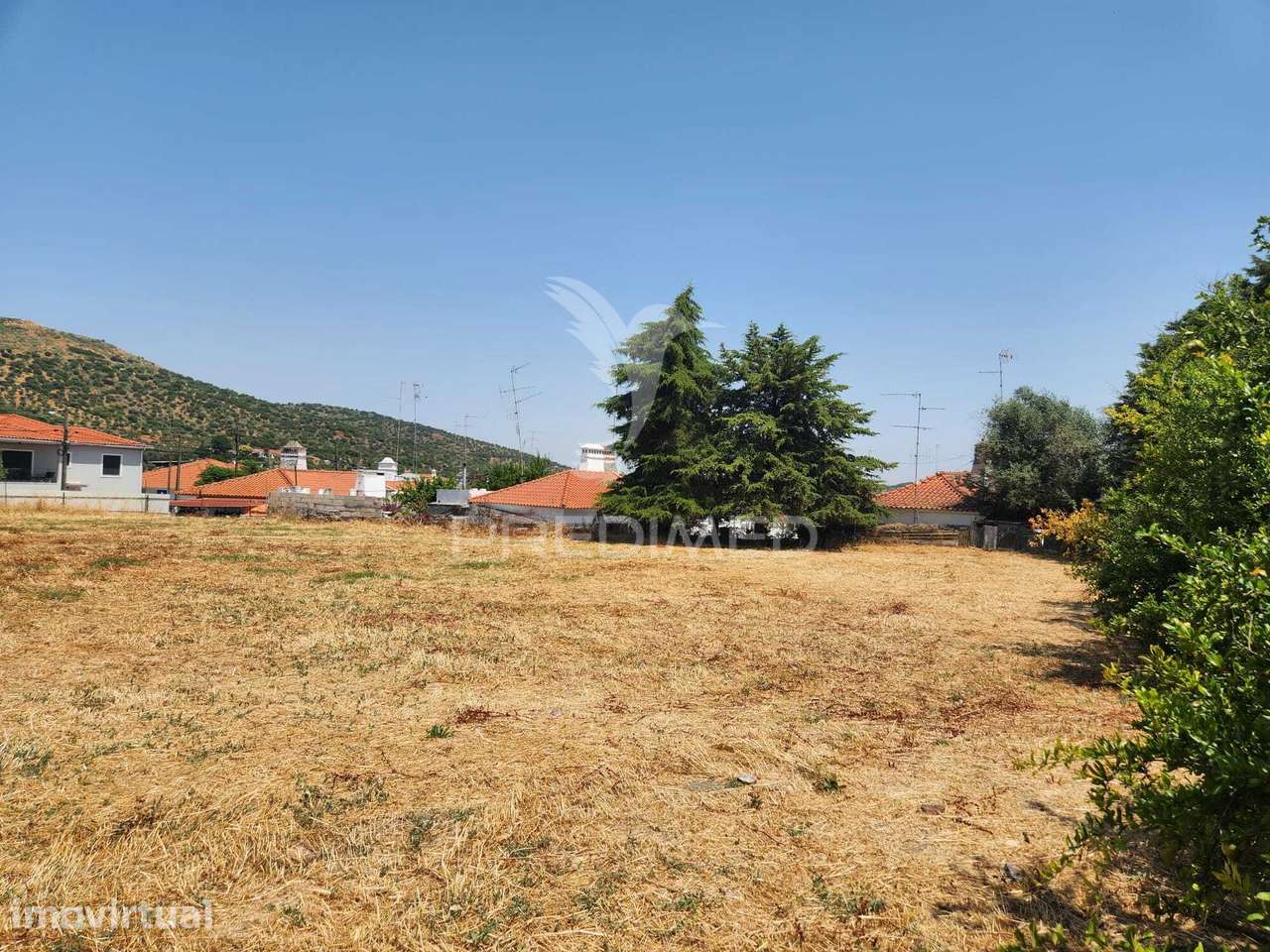 QUINTA HORTA DAS LARANJEIRAS ELVAS BOA FÉ - Grande imagem: 5/31