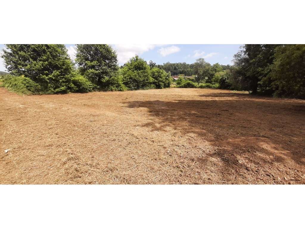 Terreno plano em Fornelos, Ponte de Lima. - Grande imagem: 2/5