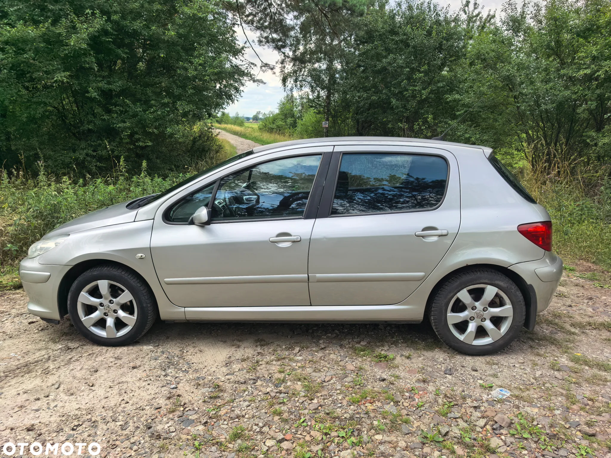 Peugeot 307 1.6 Oxygene - 11