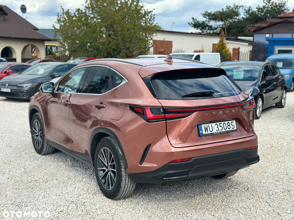Lexus NX 350h Prestige 2WD - 7