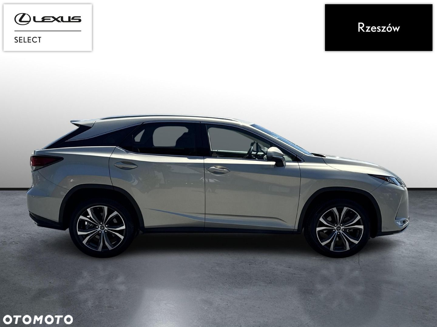 Lexus RX 300 Prestige - 6