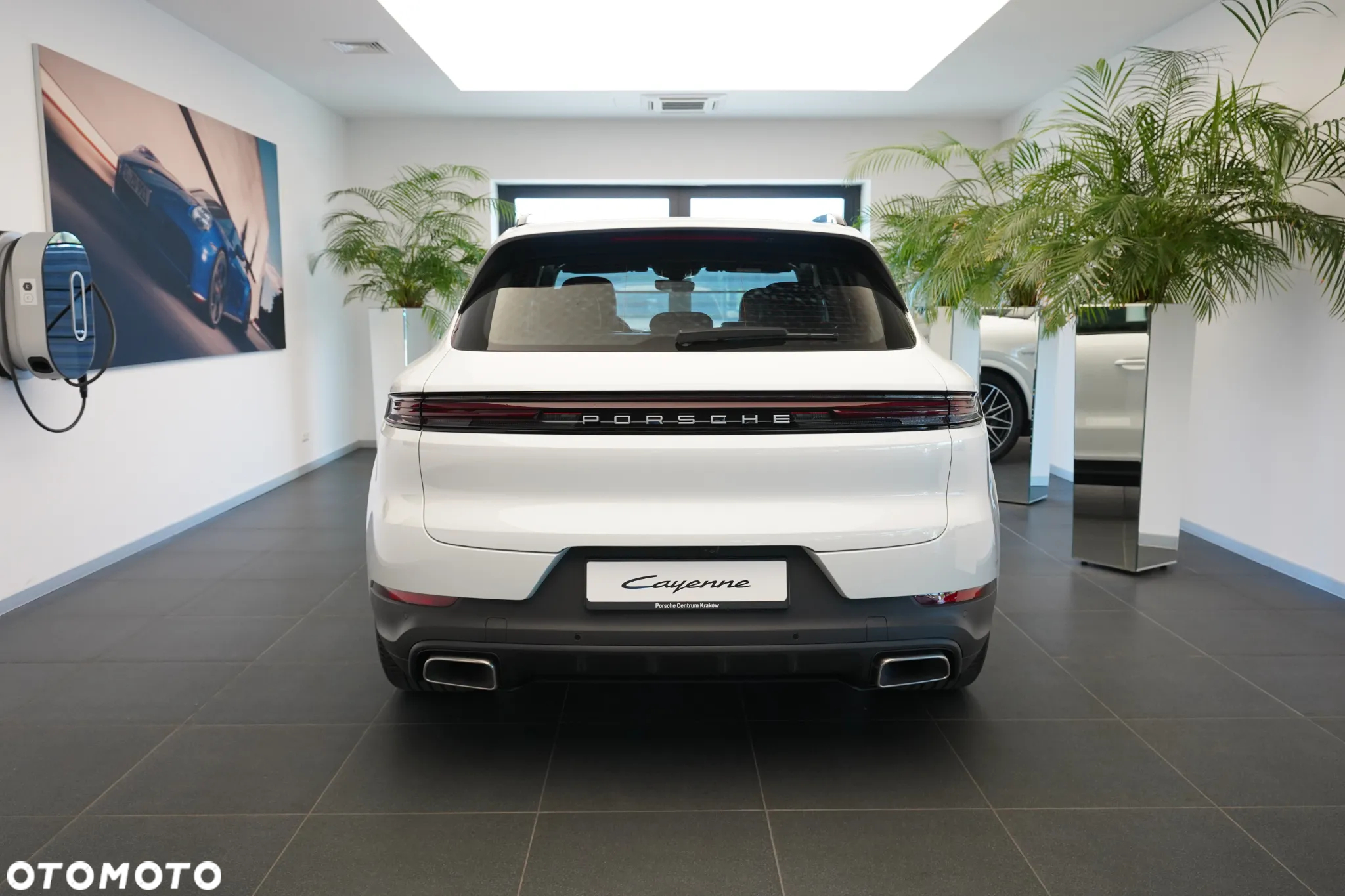 Porsche Cayenne E-Hybrid - 5