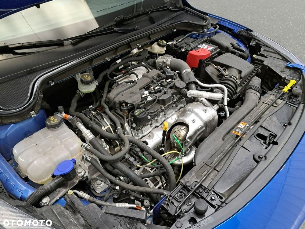 Ford Focus - 14