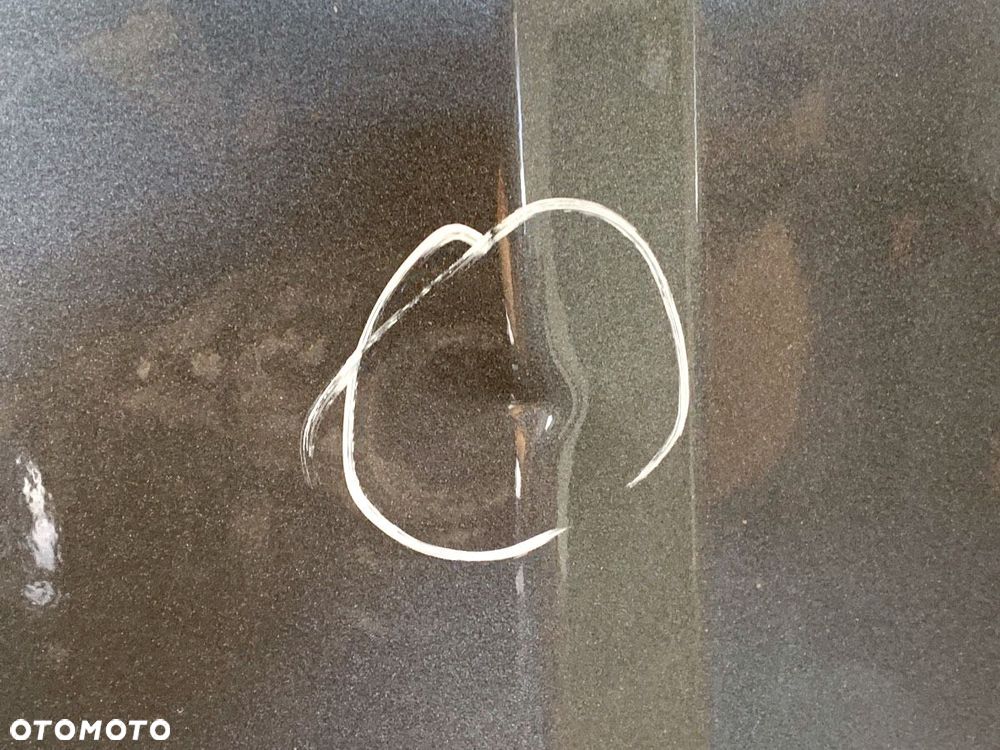 DRZWI TYLNE LEWE  PEUGEOT BOXER Skrzynia 2006 - 2022 2.0 BlueHDi 160 120 kW [163 KM] olej napędowy - 4