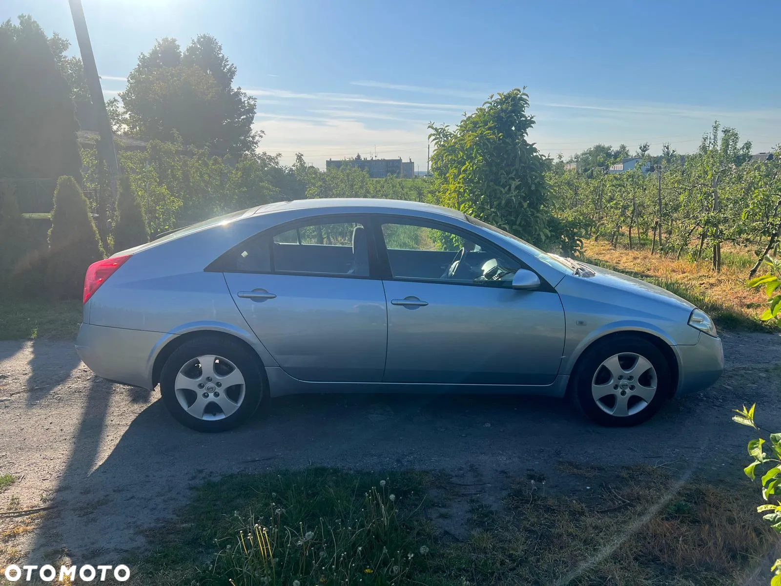 Nissan Primera - 5