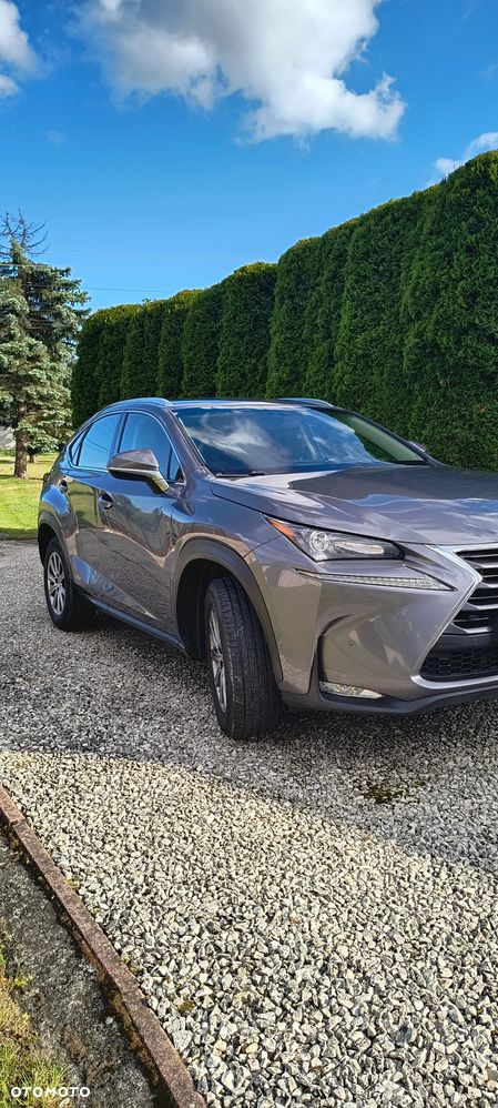 Lexus NX 300h Elite AWD - 2