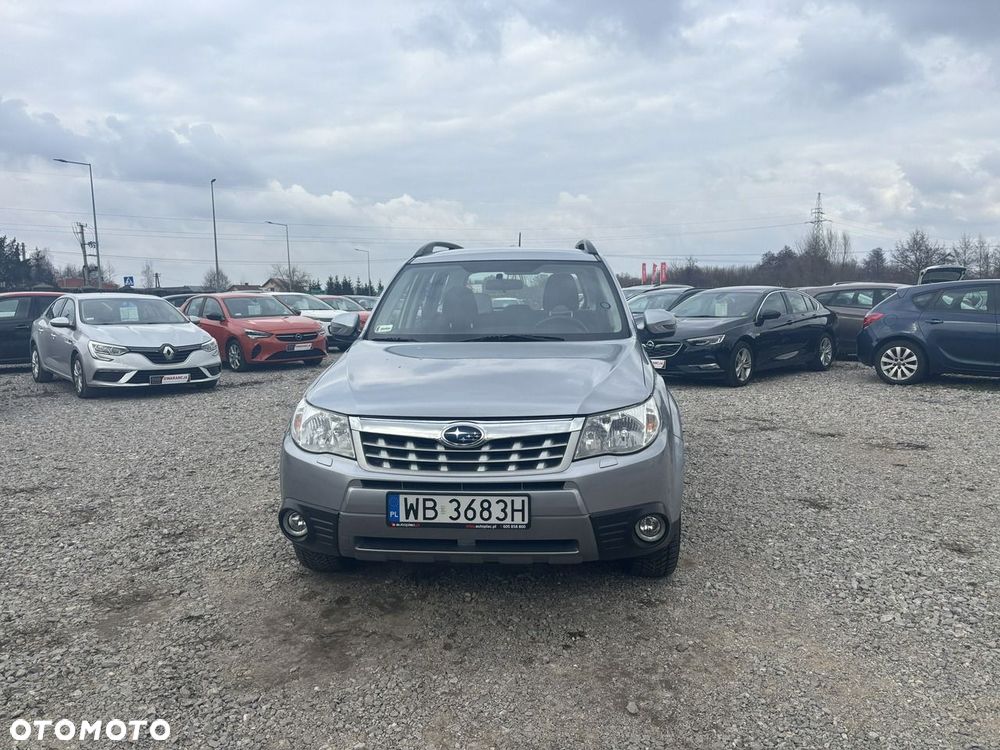 Subaru Forester - 3