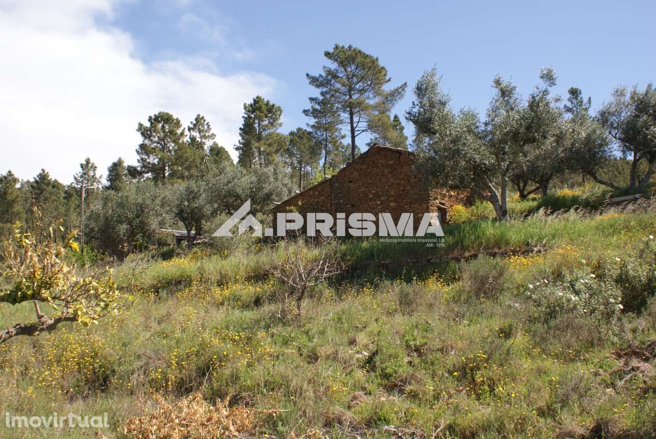Terreno Rústico para Venda em Martim Branco - Grande imagem: 5/26